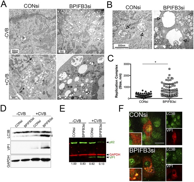 FIG 3 