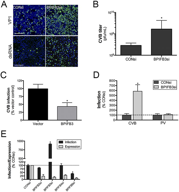 FIG 1 