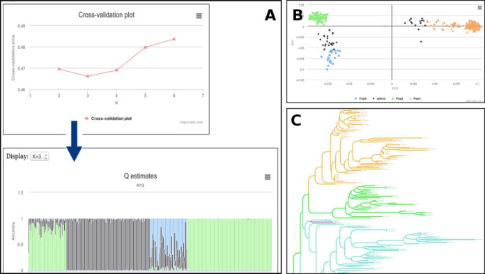 Figure 2.