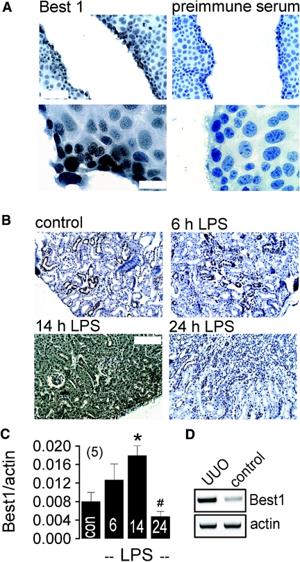 Figure 9.