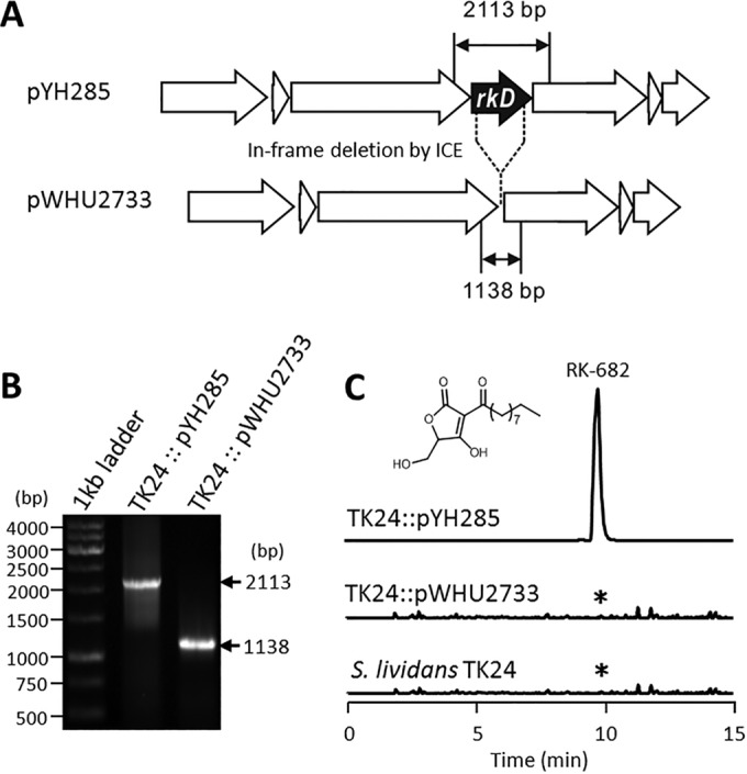 FIG 3 