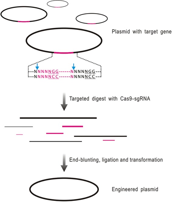 FIG 2 