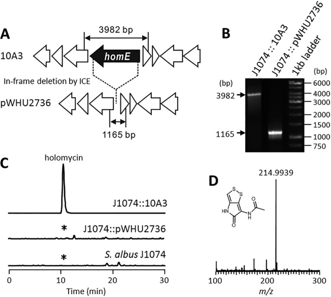 FIG 4 