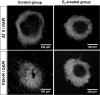 Fig. 3