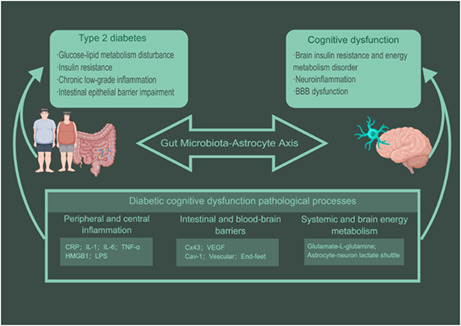 graphic file with name CNS-29-59-g002.jpg