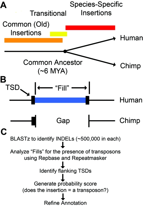 Figure  1