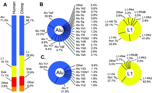 Figure  2