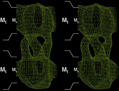 Fig. 6.