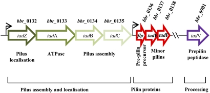 Fig. 2.