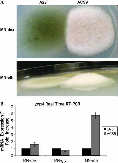 Figure 3.