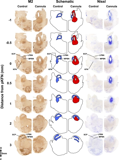 Fig. 3.