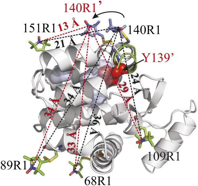 Fig. 8.