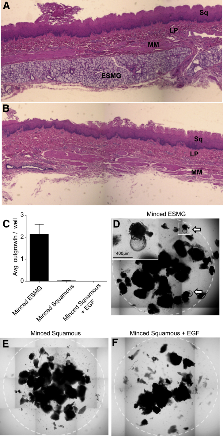 Figure 5