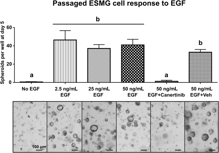 Figure 7