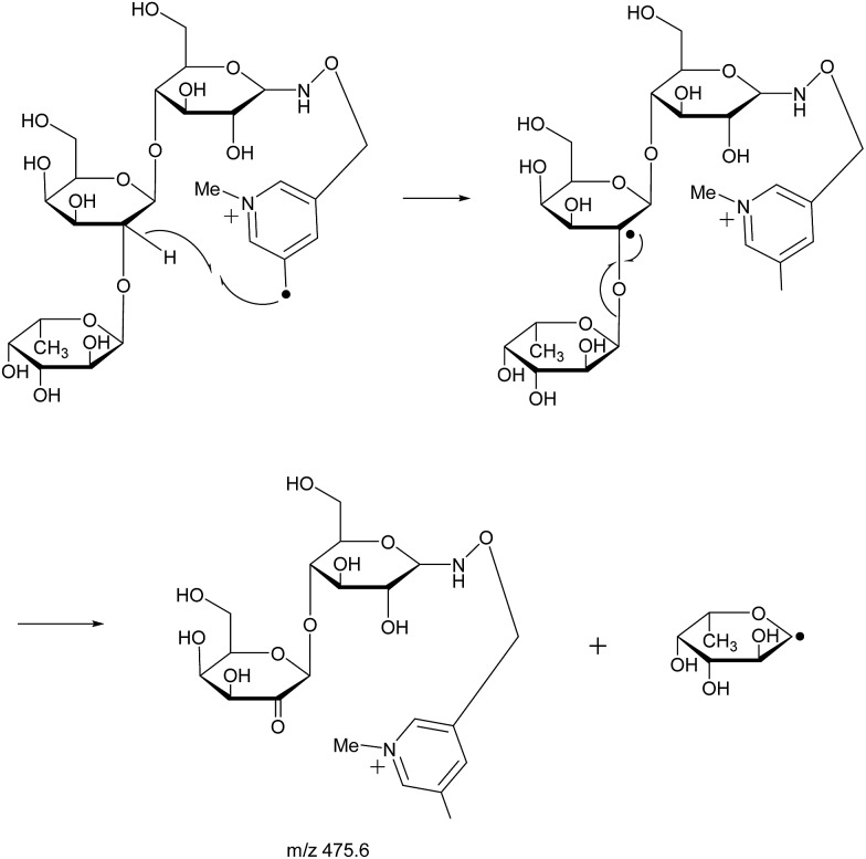 Scheme 3