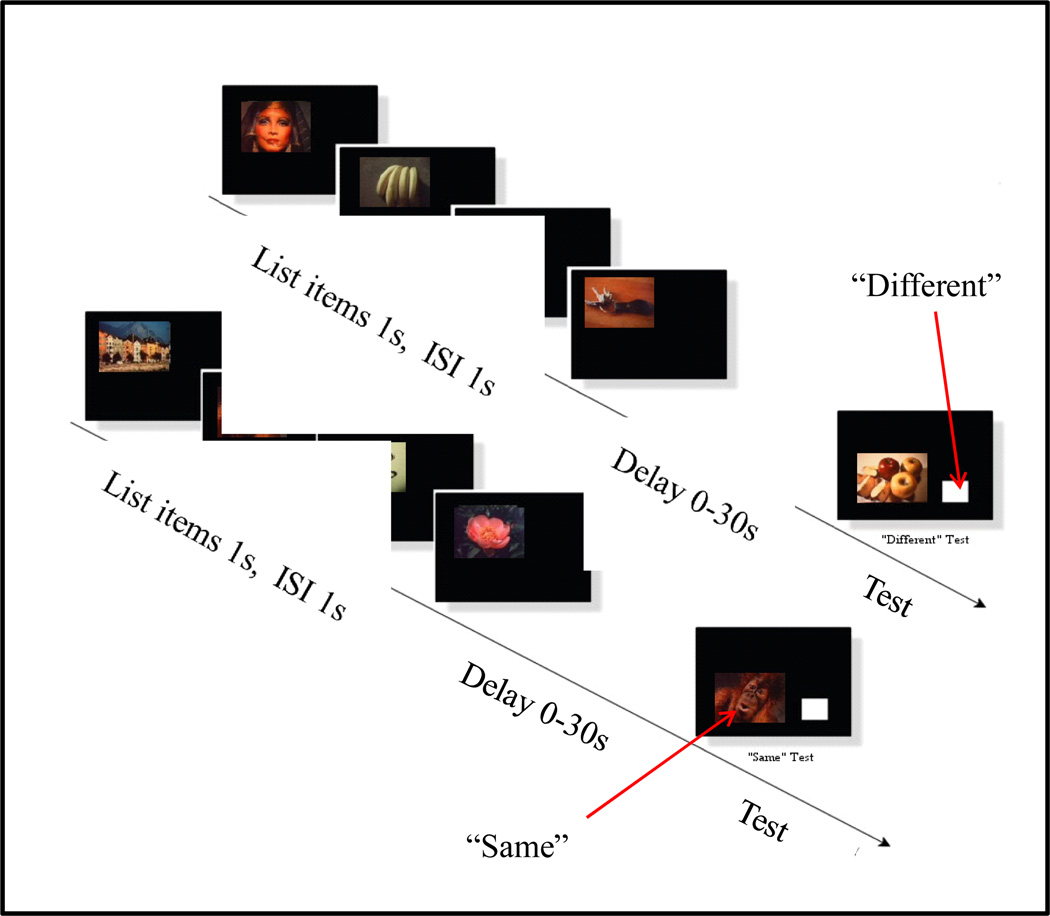 Figure 19