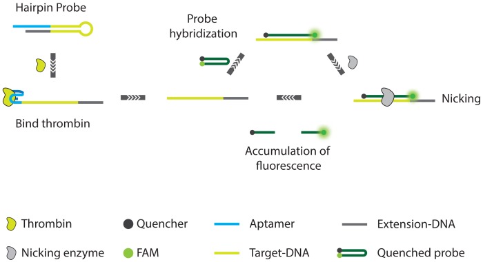 Figure 17.