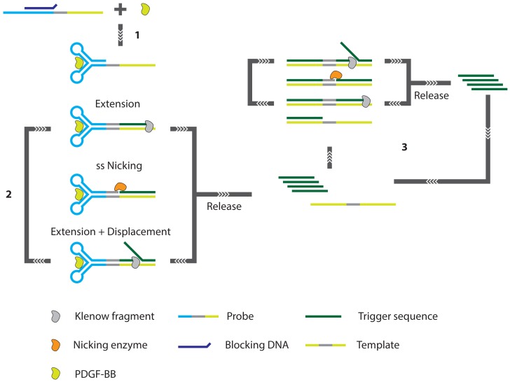 Figure 18.