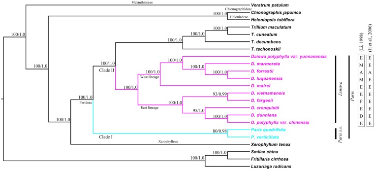 FIGURE 3