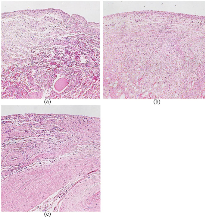 Figure 5.