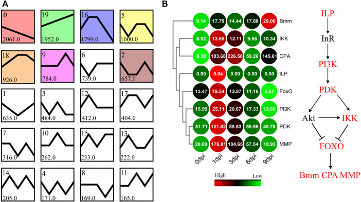 FIGURE 6