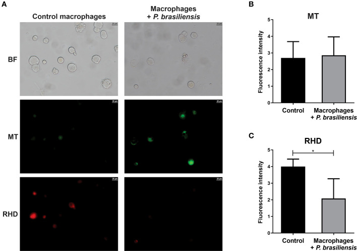 Figure 3