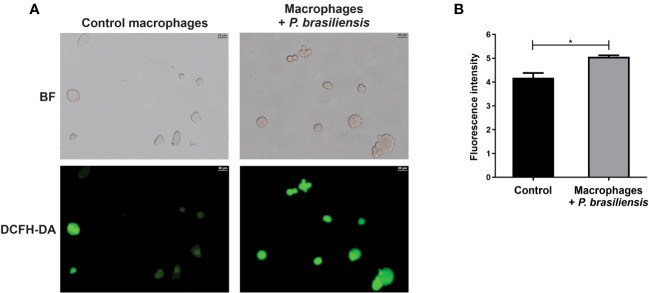 Figure 4