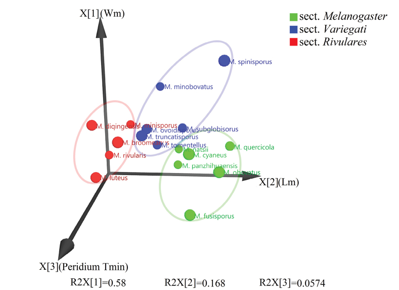 Figure 4.