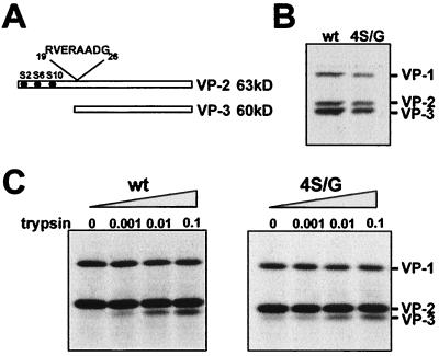 FIG. 7