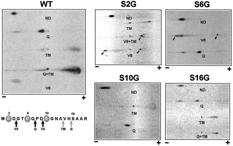 FIG. 6