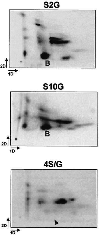 FIG. 5