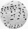 354-1