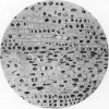 354-1