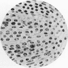 354-1