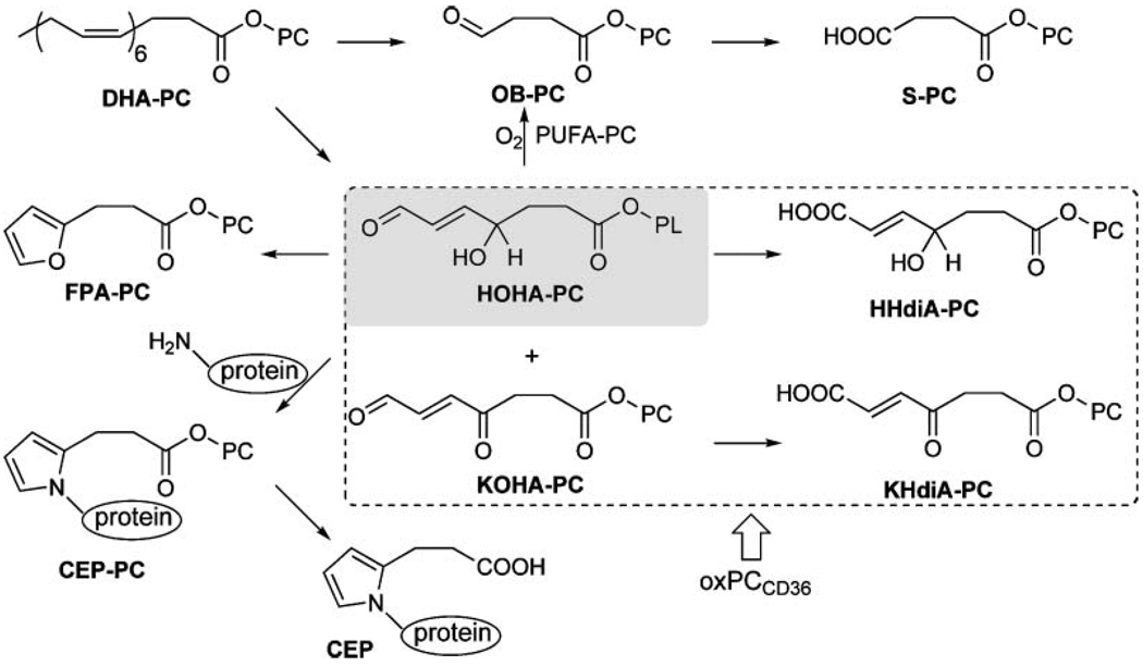 Fig. 9