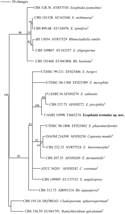graphic file with name per-26-112-g002.jpg