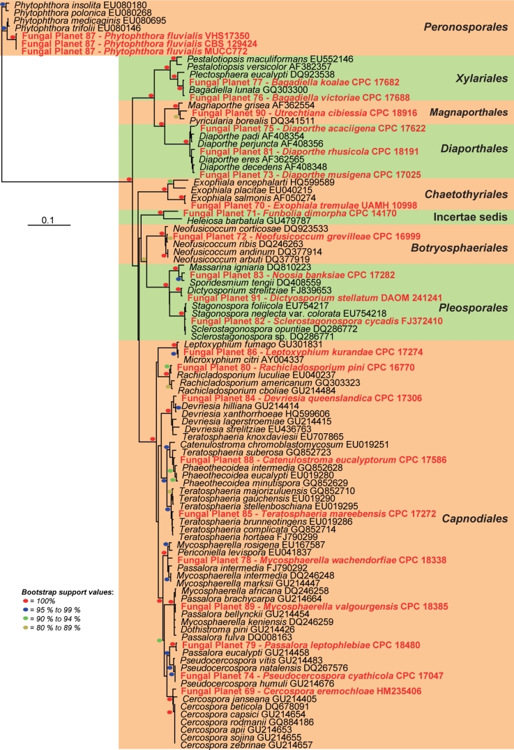 graphic file with name per-26-108-g001.jpg