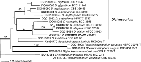 graphic file with name per-26-154-g002.jpg