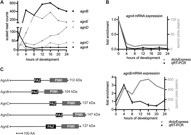 FIGURE 1.