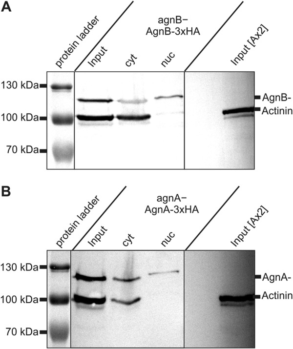 FIGURE 10.