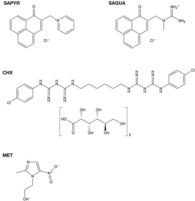 FIGURE 1