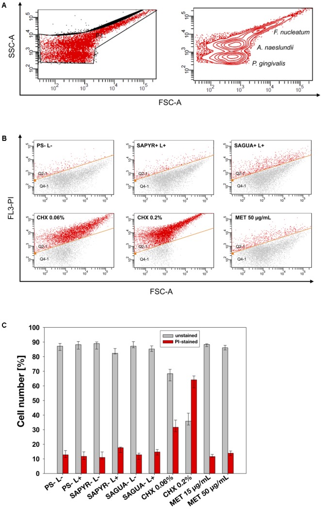 FIGURE 3