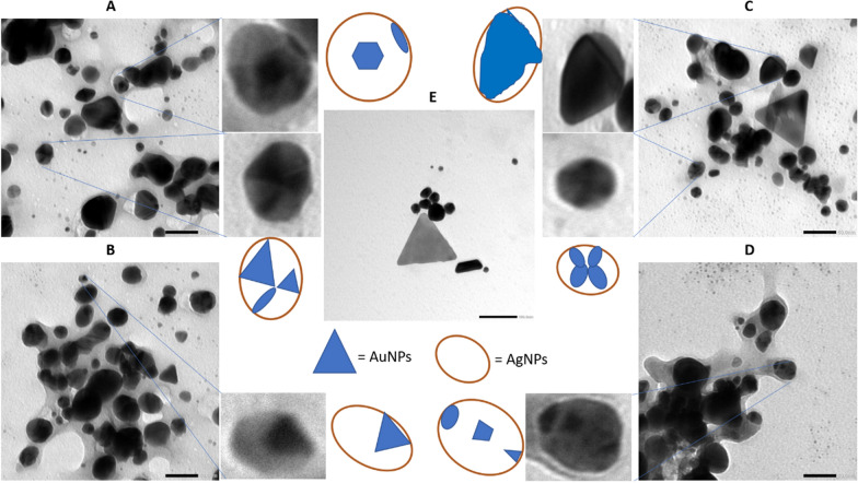 Fig. 4