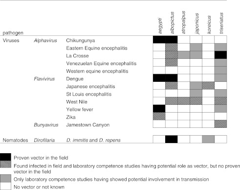 graphic file with name fig-3.jpg