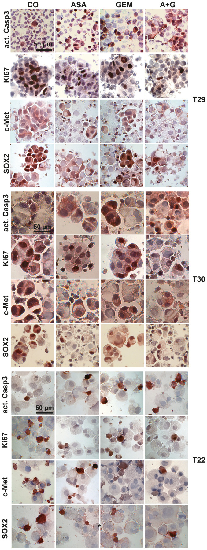 Supplementary Figure 3