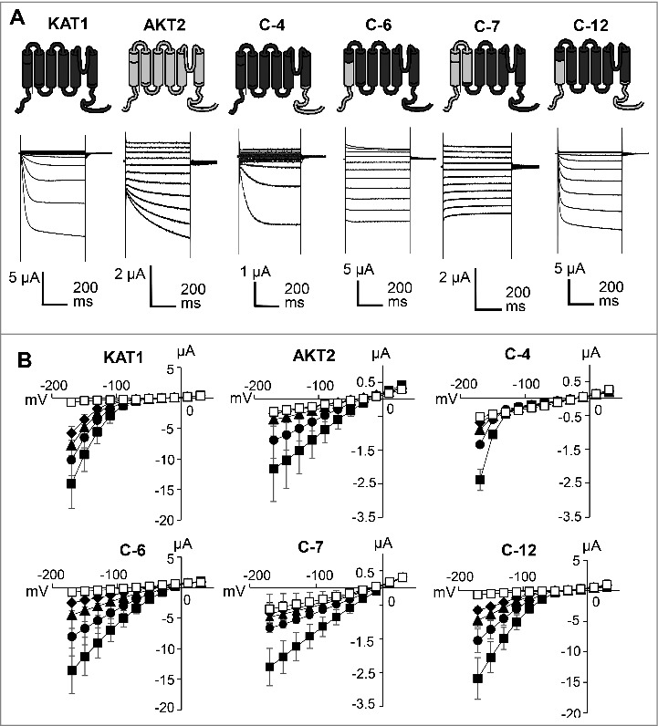 Figure 3.