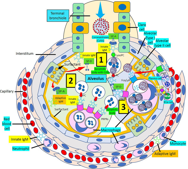 Figure 10