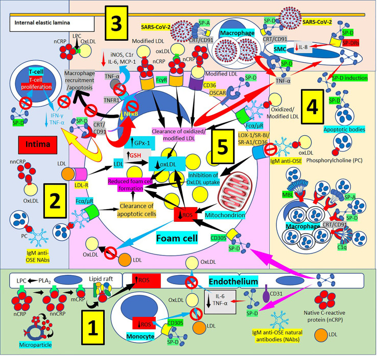 Figure 4