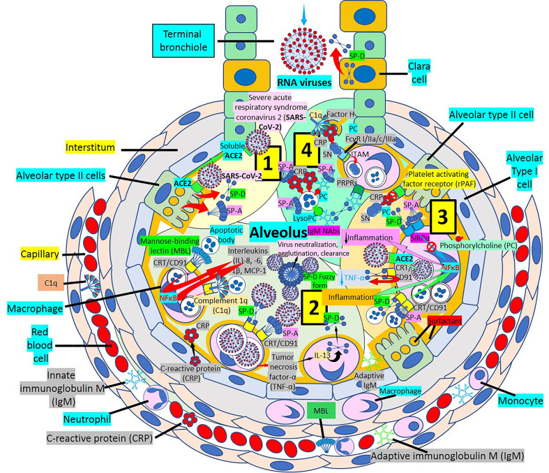 Figure 3