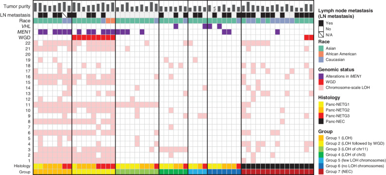 Figure 3. Landscape of DNA copy-number alterations in Panc-NETs and Panc-NECs. Examination of the chromosome-level copy number allowed stratification into six groups in Panc-NETs. Group 1: recurrent pattern of whole chromosomal loss, affecting specific chromosomes (1, 2, 3, 6, 8, 10, 11, 15, 16, 21, and 22); group 2: recurrent pattern of whole chromosomal loss, affecting specific chromosomes and subsequent WGD; group 3, chromosome-scale LOH to chromosome 11; group 4, chromosome-scale LOH to chromosome 3; group 5, chromosome-scale LOH to nonspecific one or two chromosome(s); group 6, no chromosome-scale LOH. Chromosomes 1–22 are depicted from bottom to top, and individual samples are shown from left to right. Pink indicates chromosome-scale LOH.